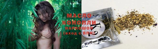 тгк Бородино
