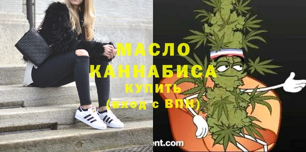 тгк Бородино