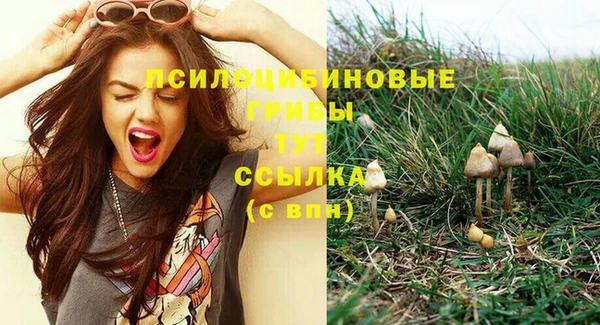 тгк Бородино