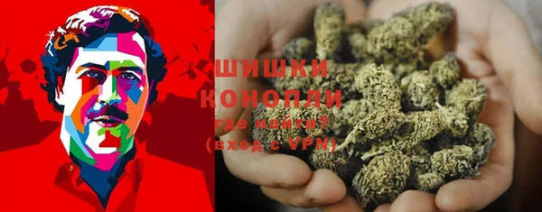 дмт Няндома